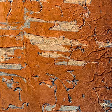 redmudwaste